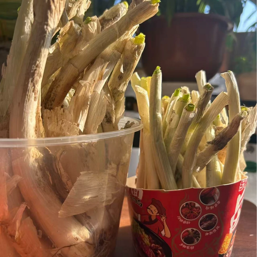 东北小火葱【可以盆栽】【2.5kg+-2两装】