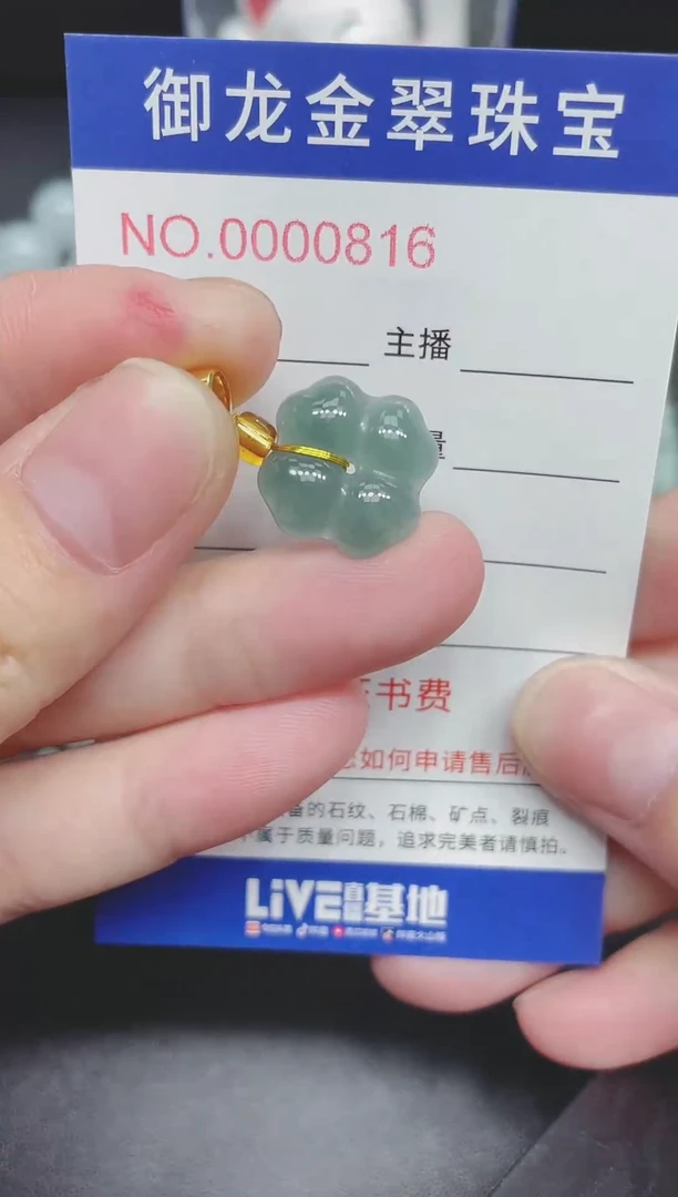 翡翠未镶嵌颈饰080