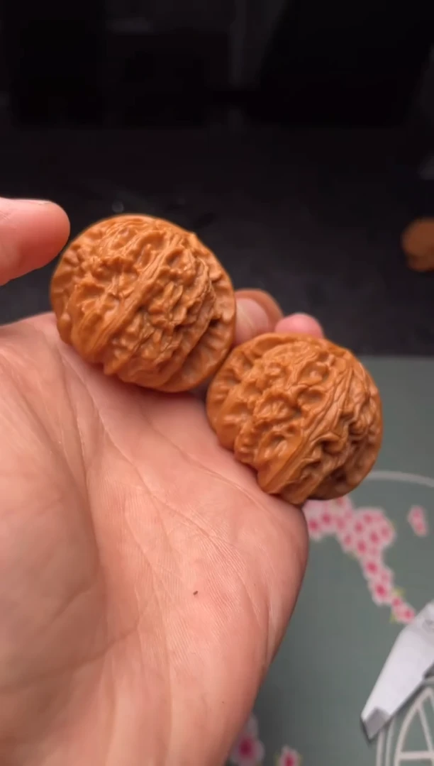 把件文玩核桃a334  白狮子   41尺