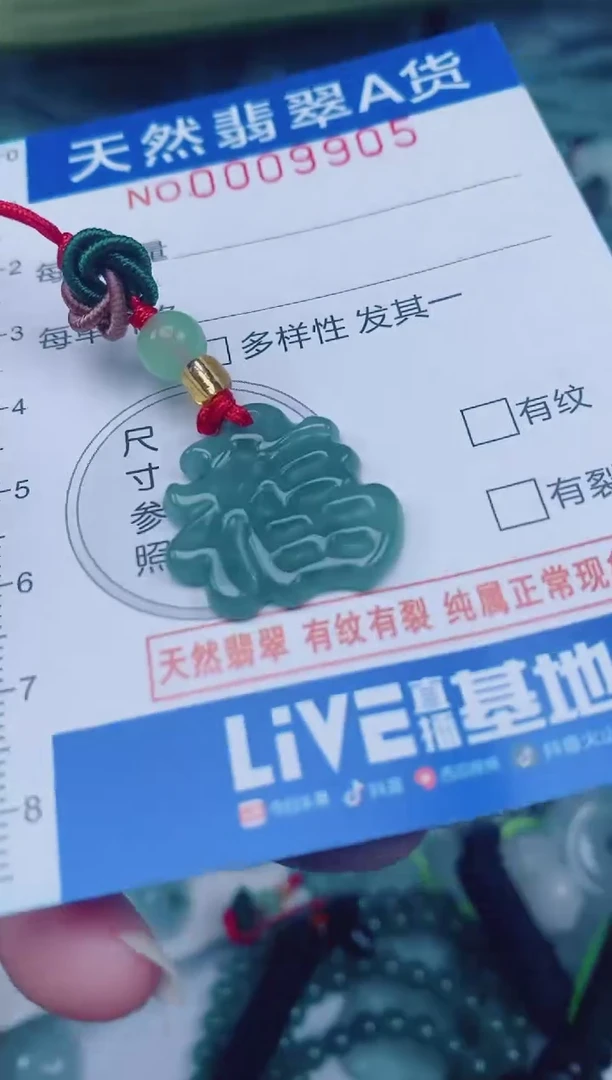 颈饰未镶嵌翡翠00009905