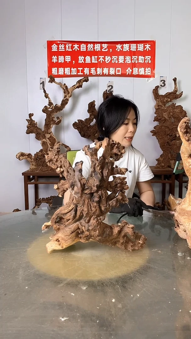 香榧木金丝红木 羊蹄甲