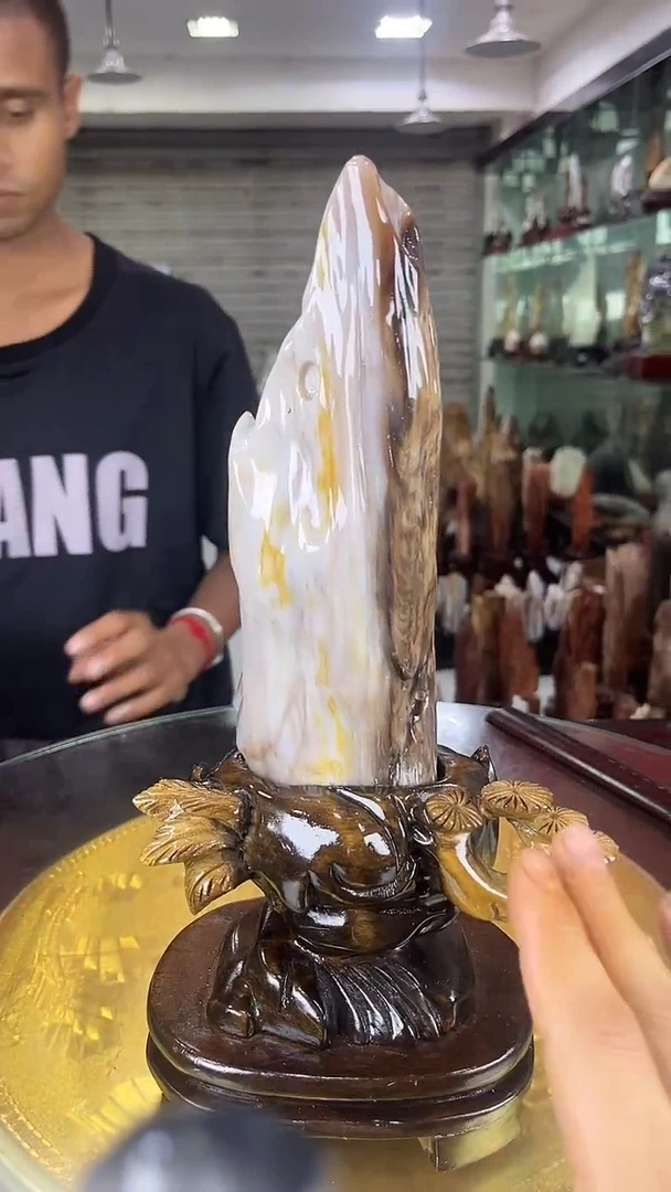 硅化玉珠宝奇石未镶嵌缅甸天然树化玉摆件