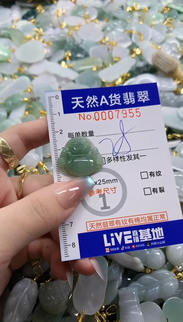 颈饰未镶嵌翡翠天然A货翡翠