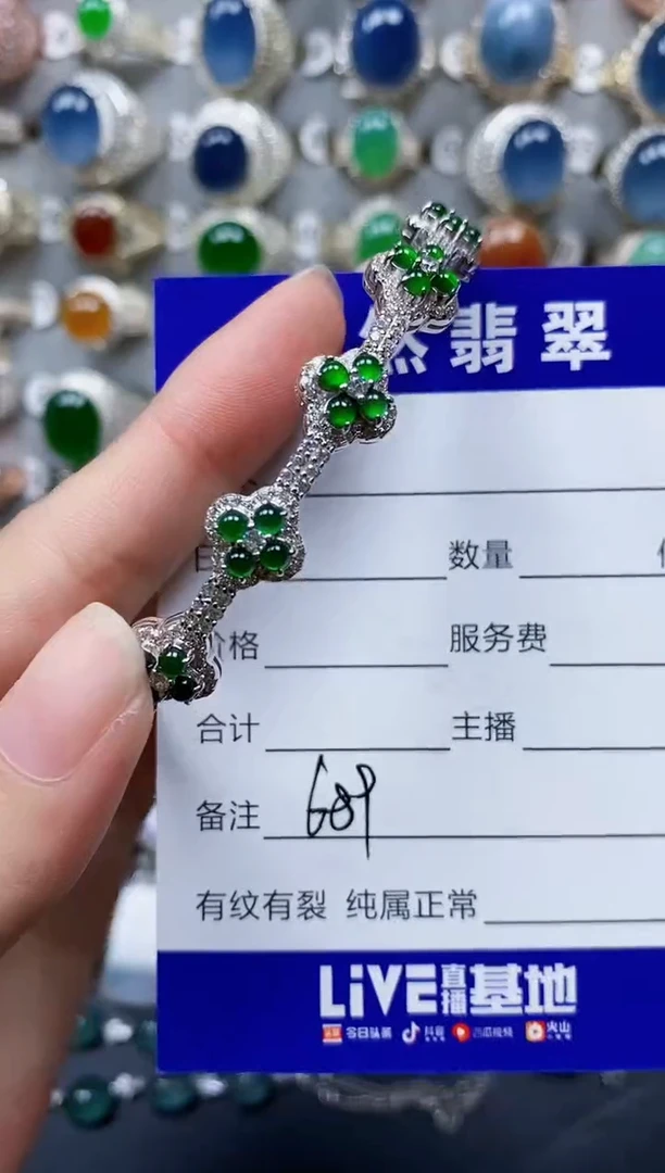 翡翠手镯银S925镶嵌689