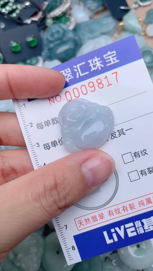 翡翠未镶嵌颈饰9817