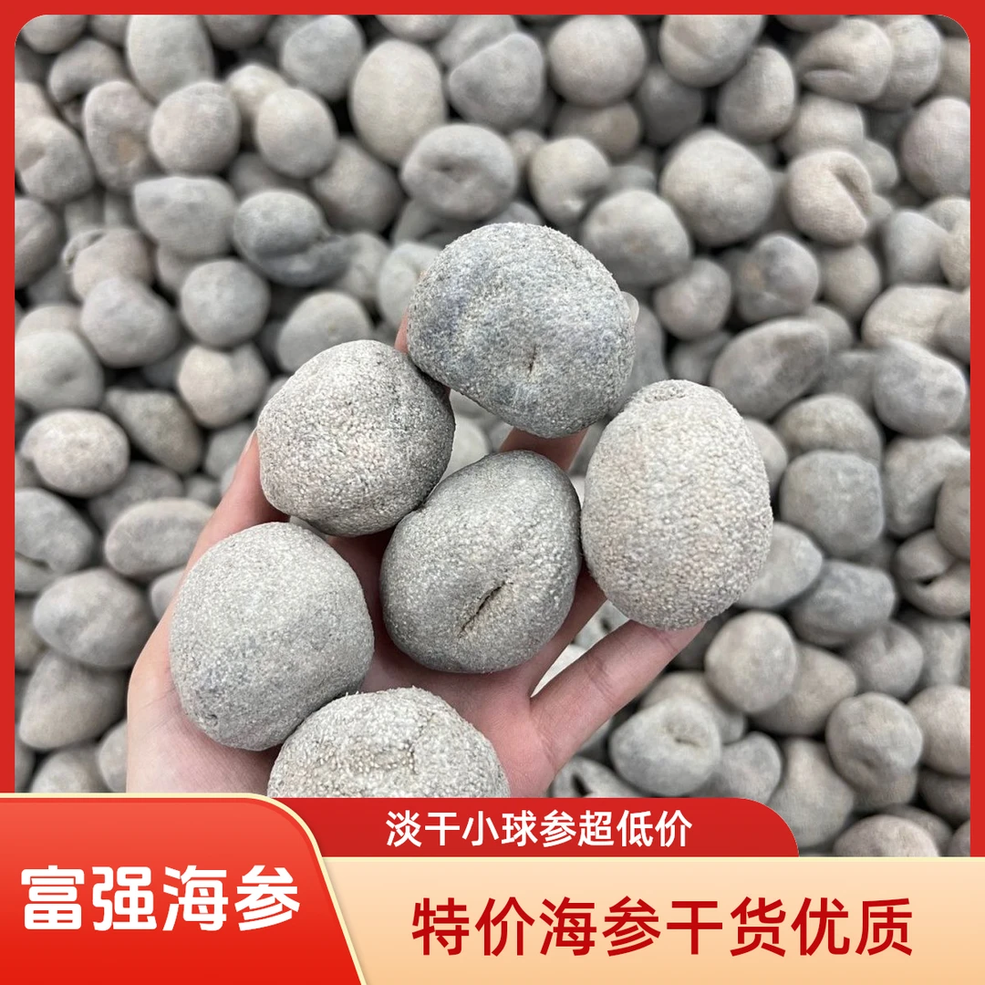 特价小球海参干货淡干小珍珠球参乌元球参干货酒店食用材料产地货