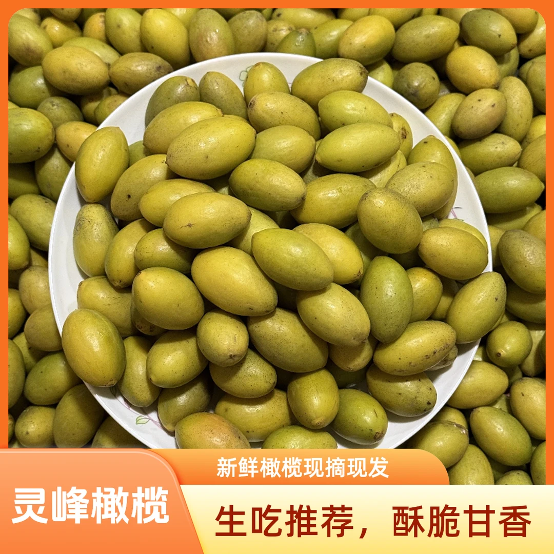 正宗金灶特级灵峰橄榄 新鲜现摘 酥脆回甘无渣 适合生吃