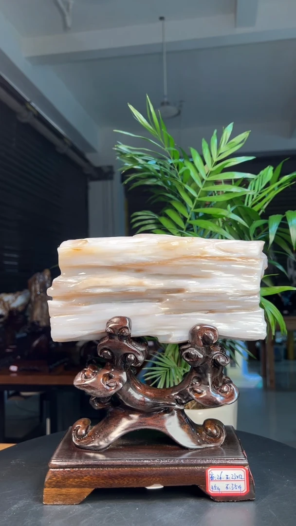 未镶嵌硅化玉（树化玉）珠宝奇石0612