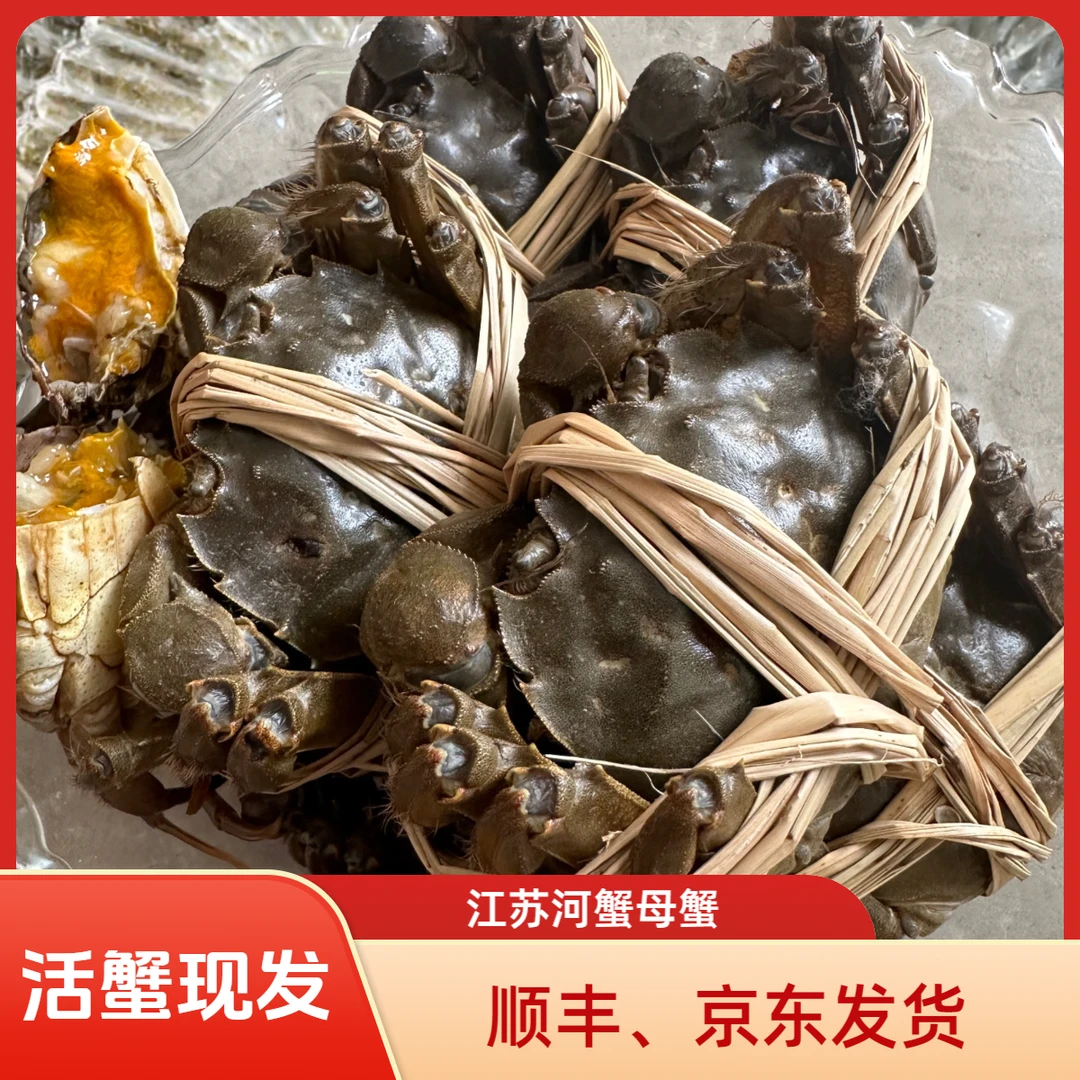 江苏【全母蟹8送2到手10只】河蟹（㍚6-㍛1）两礼盒装发顺丰京东