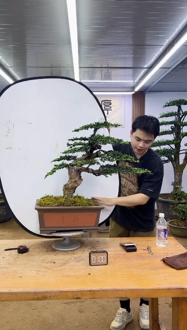 无花朵000000000000