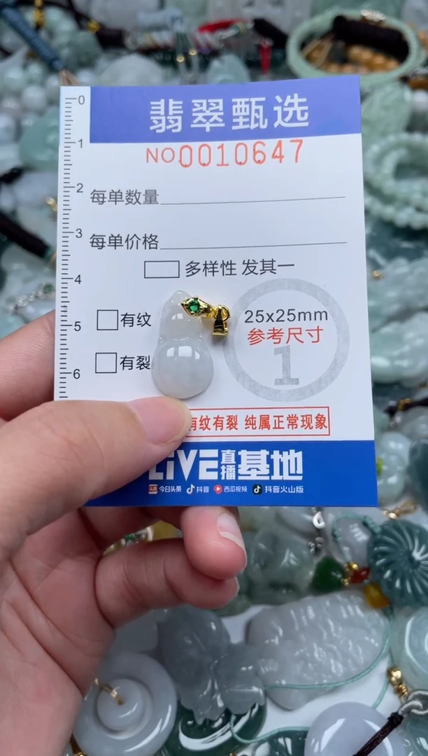颈饰未镶嵌翡翠10647