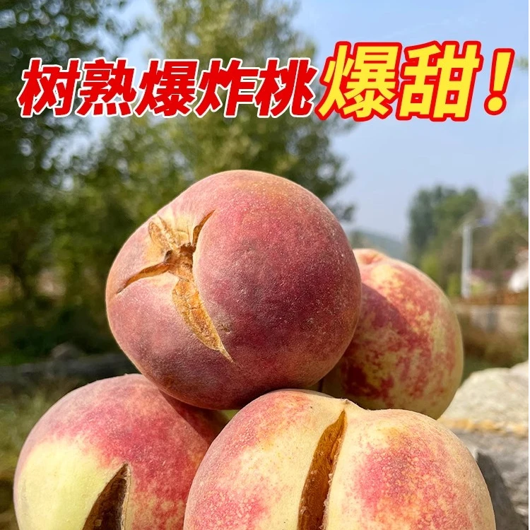 山东爆炸桃红叶冬桃轻微裂口糖炸果现摘现发包邮桃子山东省