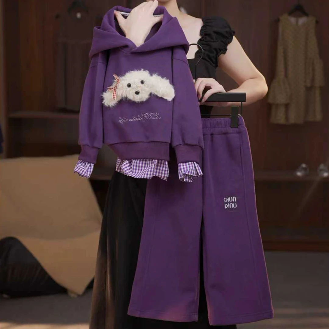 2025C春秋季运动显瘦宽松气质时尚百搭新款针织透气连帽两件套