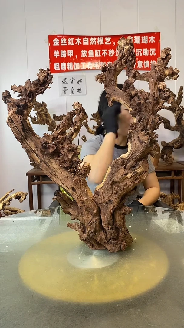 香榧木金丝红木 羊蹄甲