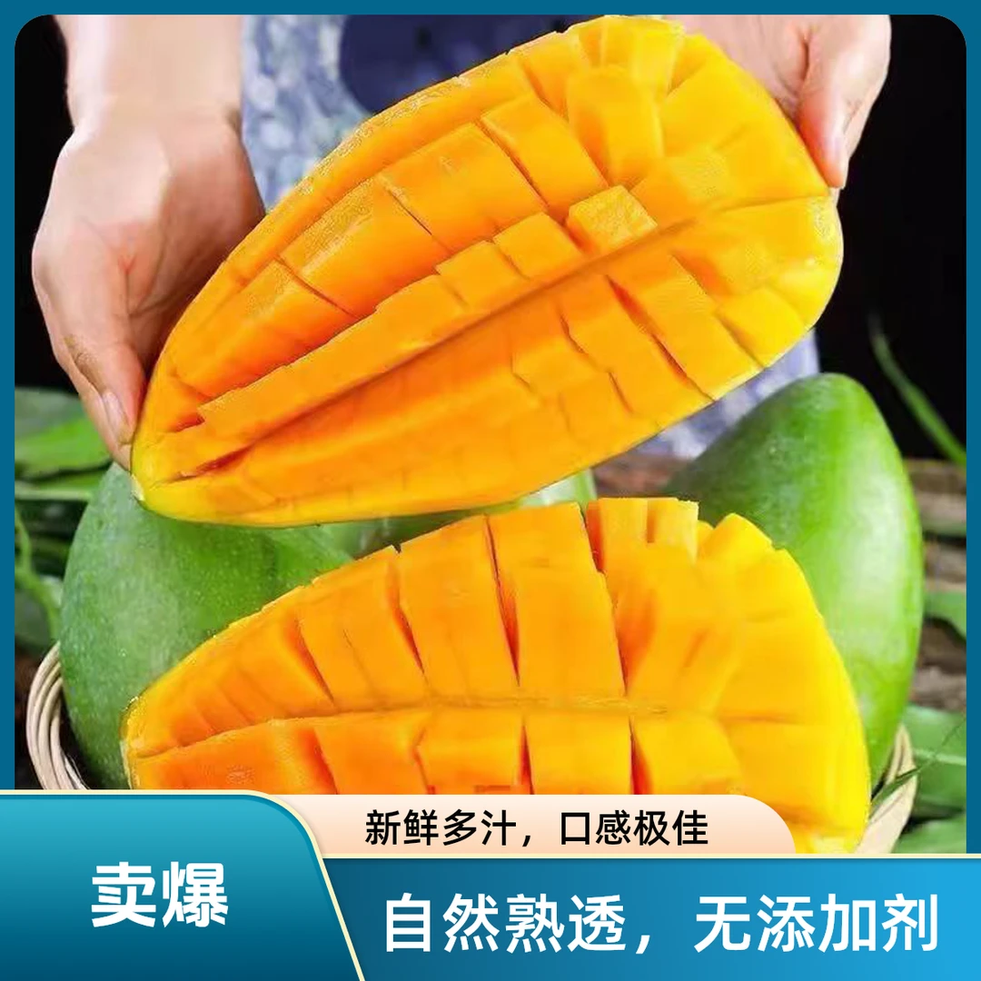 【只发新疆】大青芒果甜蜜多汁皮薄肉多水果批发乌市九鼎直发