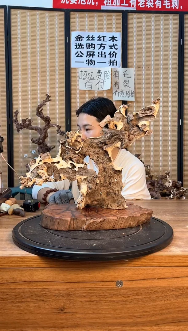 【闪购商品】木云南红河流苏木248