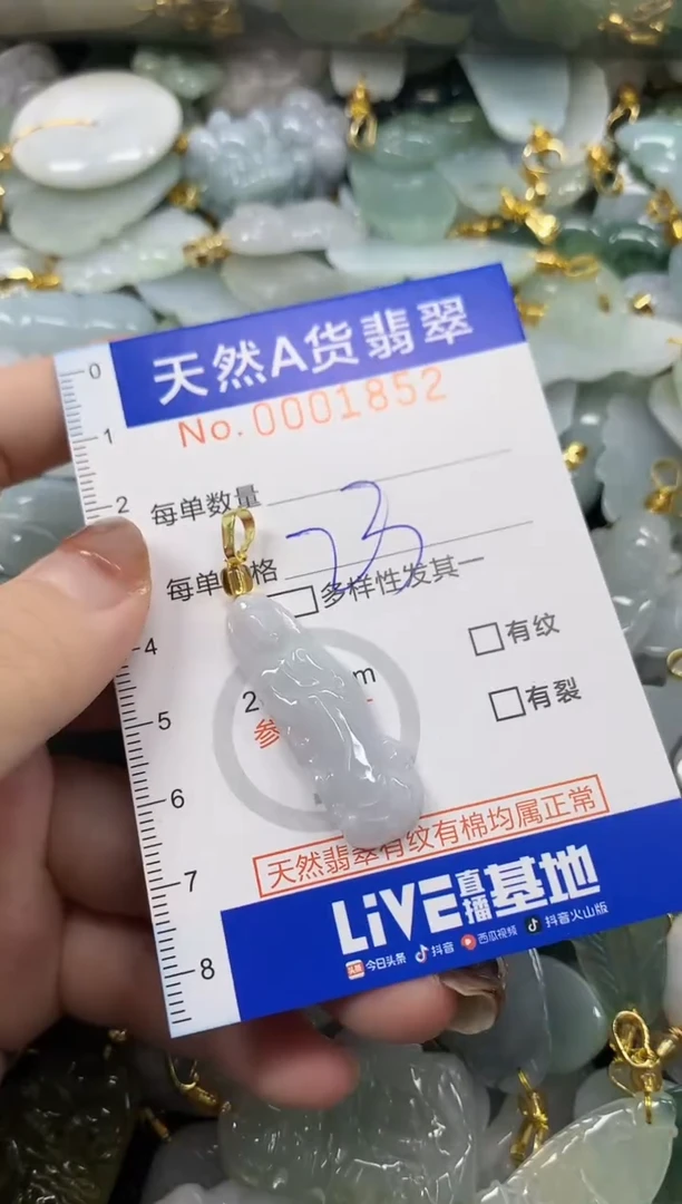 颈饰未镶嵌翡翠天然A货翡翠