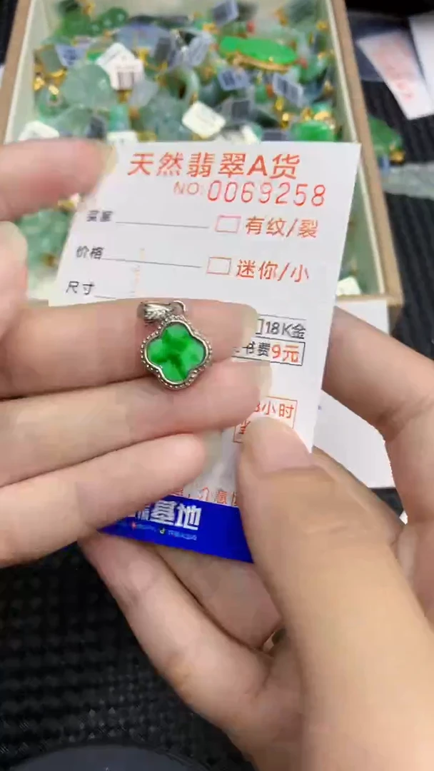 【闪购商品】翡翠颈饰银S925镶嵌            8