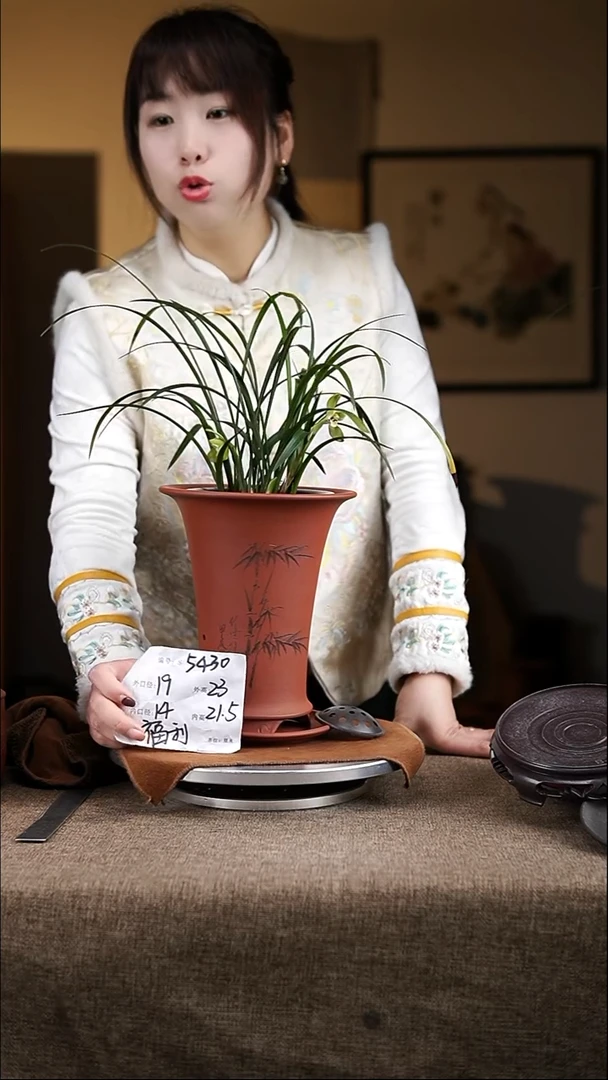 【闪购商品】紫砂花盆紫砂花盆5430+z