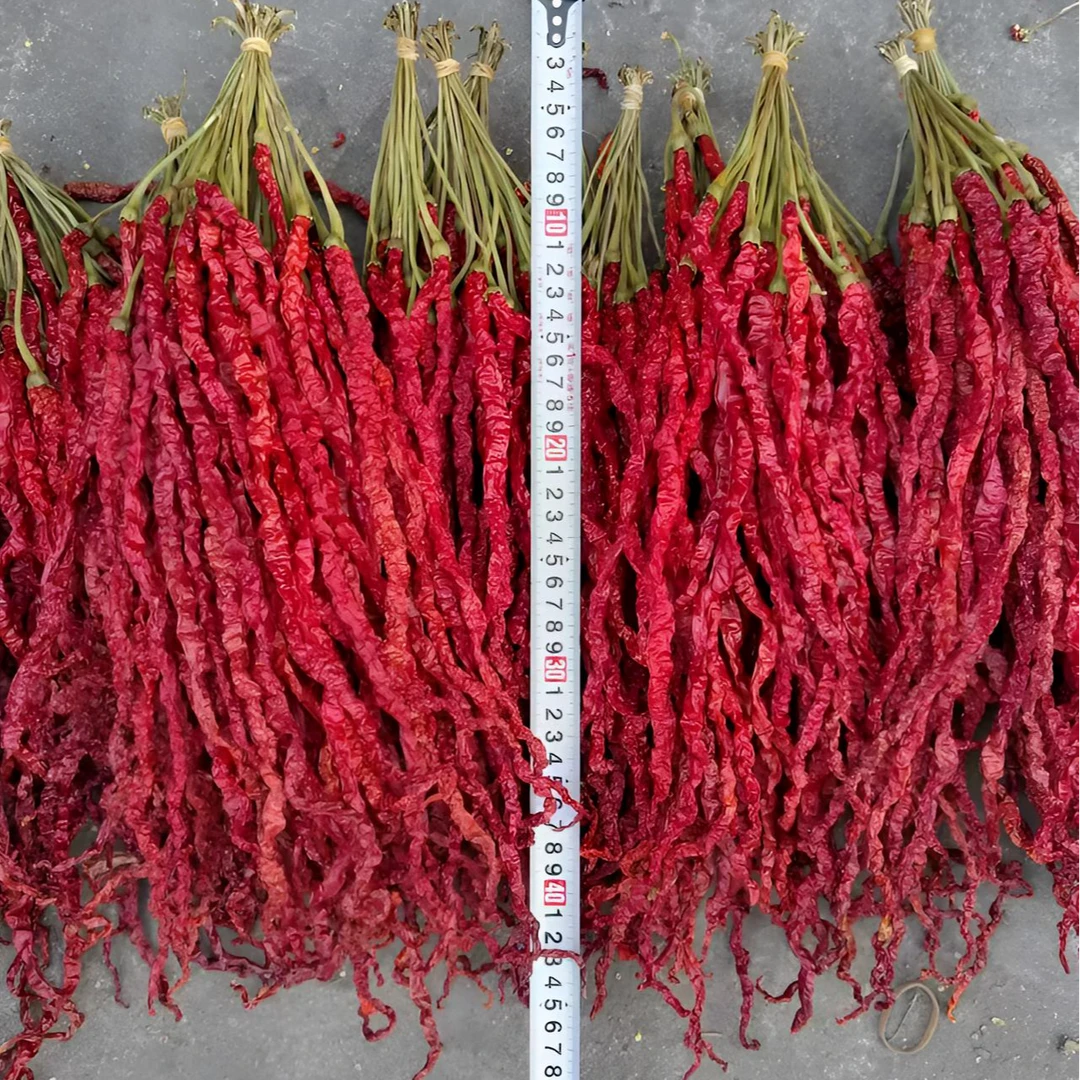 贵州特产 大方二荆条 皱皮椒 鸡爪辣 微辣不辣特香干辣椒干货