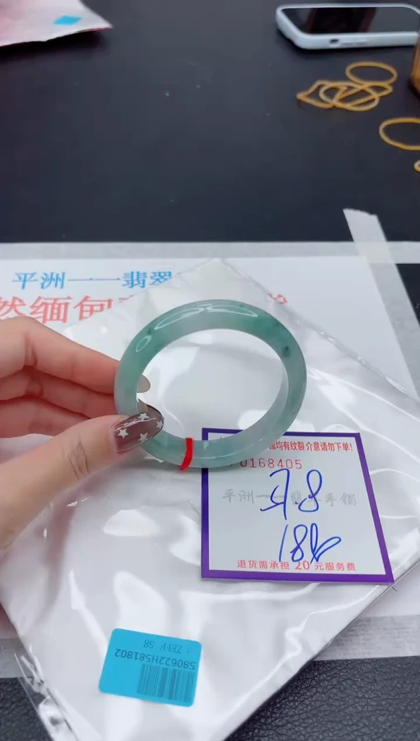 未镶嵌手镯翡翠1