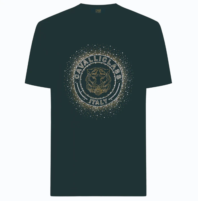 CAVALLI CLASS夏新款男士短袖T恤烫钻图案潮流休闲纯棉半袖RWC544