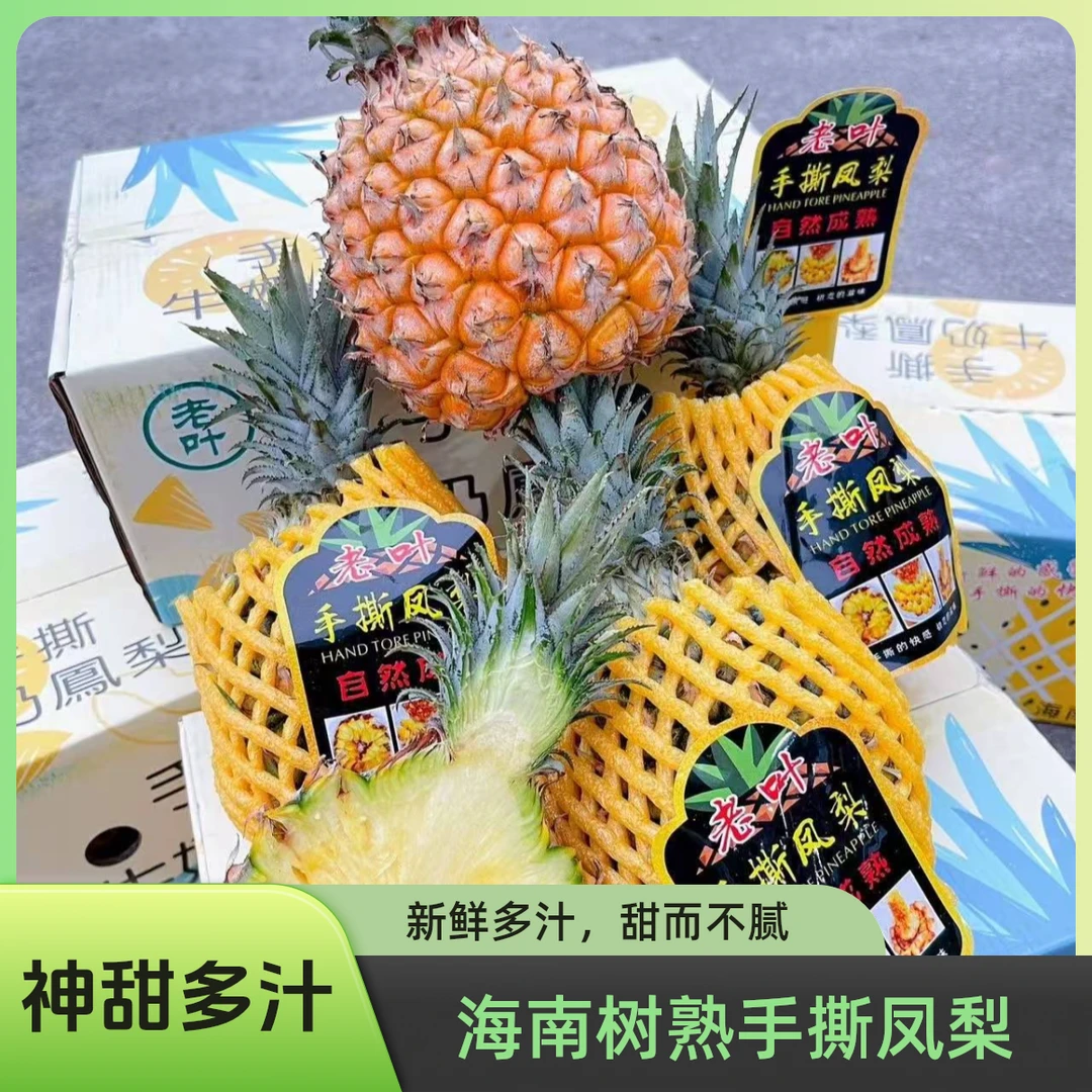 【依依宠粉 顺丰次日达】海南树熟手撕凤梨 无需泡盐水 热带应季水果 5.5斤礼盒装手撕凤梨海南省