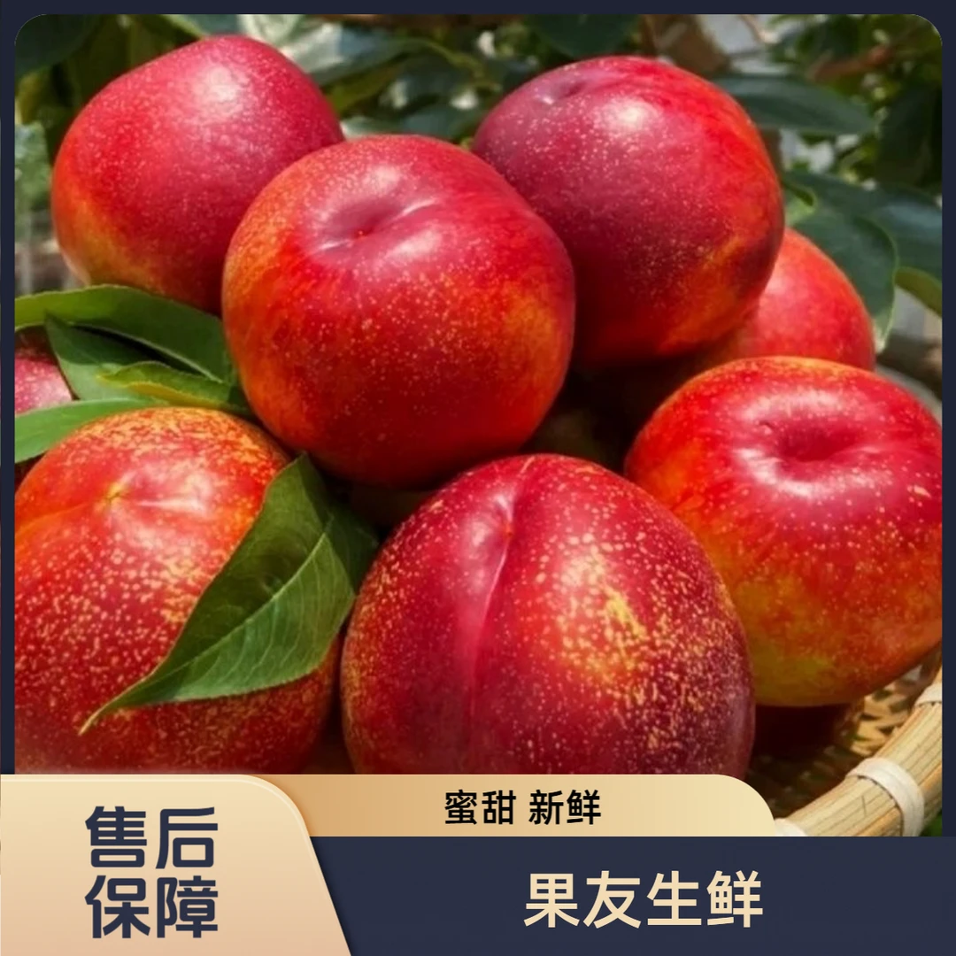 【澳洲进口红油桃】新鲜汁水足 2.5斤左右/1份太原晋中吕梁购买