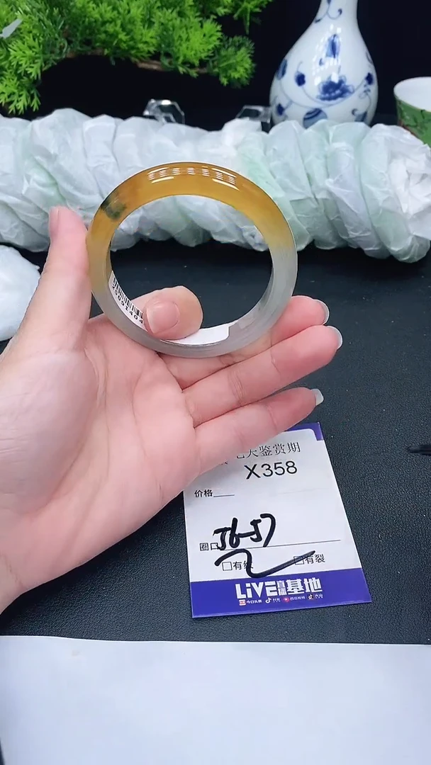 未镶嵌手镯翡翠358