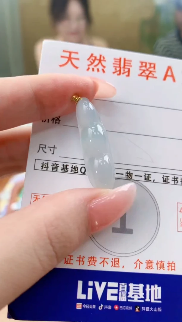 颈饰未镶嵌翡翠天然A货翡翠挂件