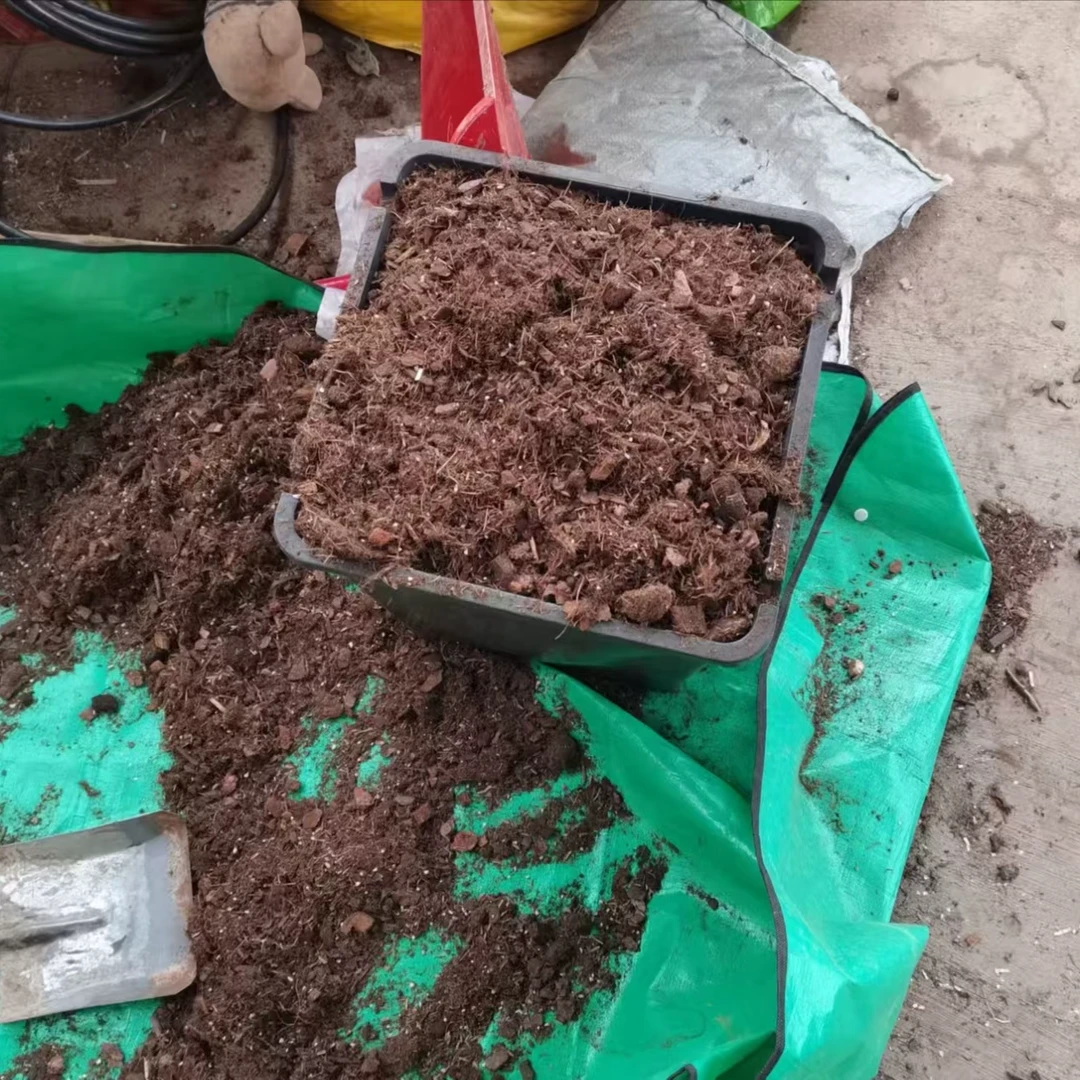 蓝莓苗专用土 南北方均可种植