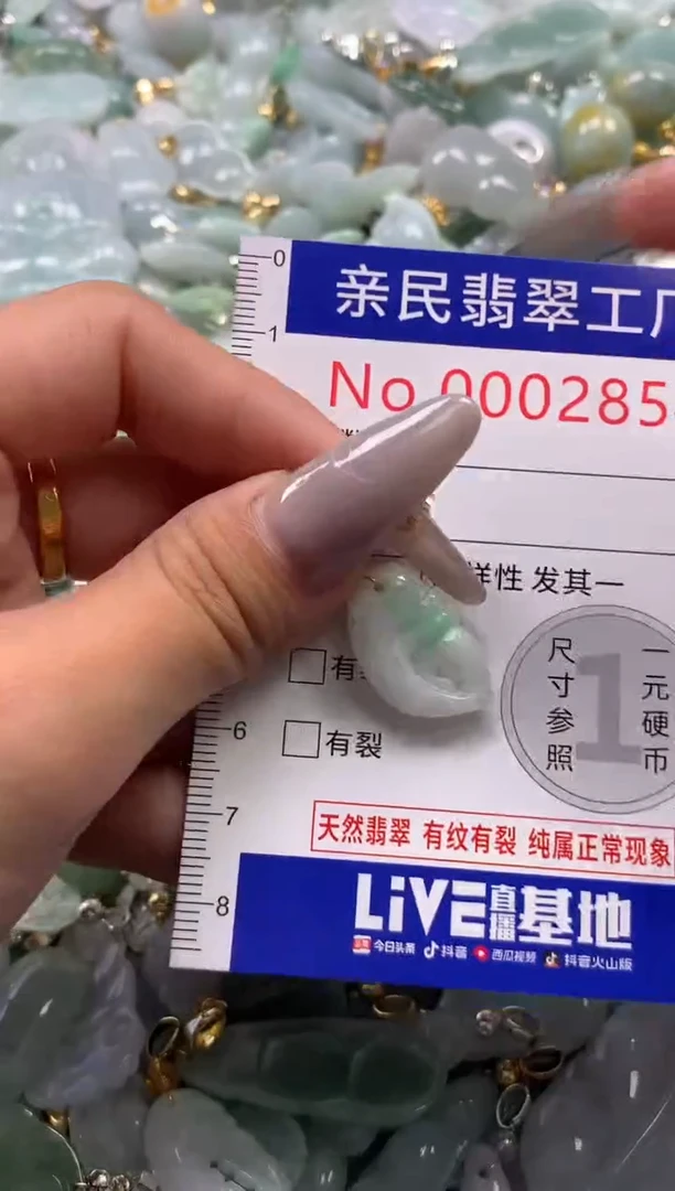 颈饰未镶嵌翡翠2854