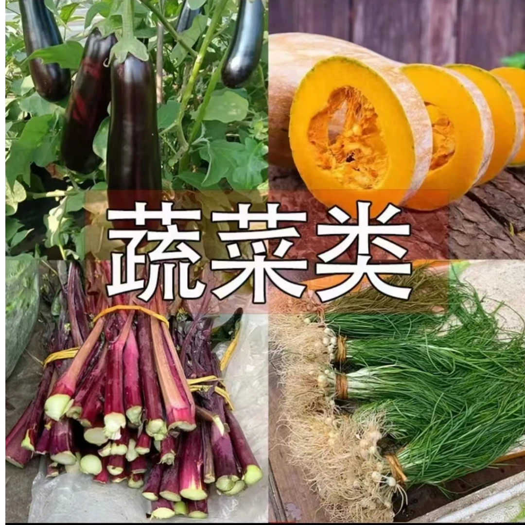 喜洋洋村长现摘蔬果类