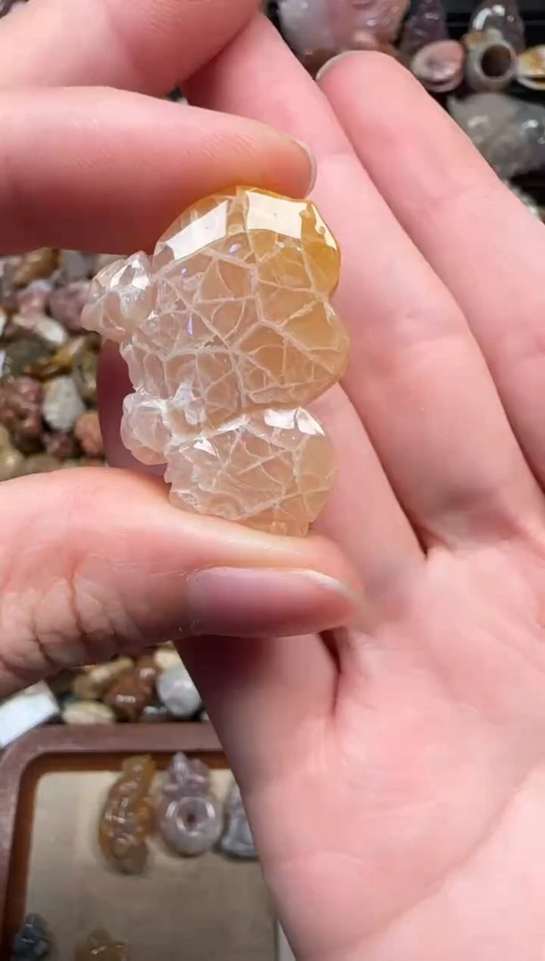 颈饰未镶嵌硅化珊瑚（珊瑚玉）168