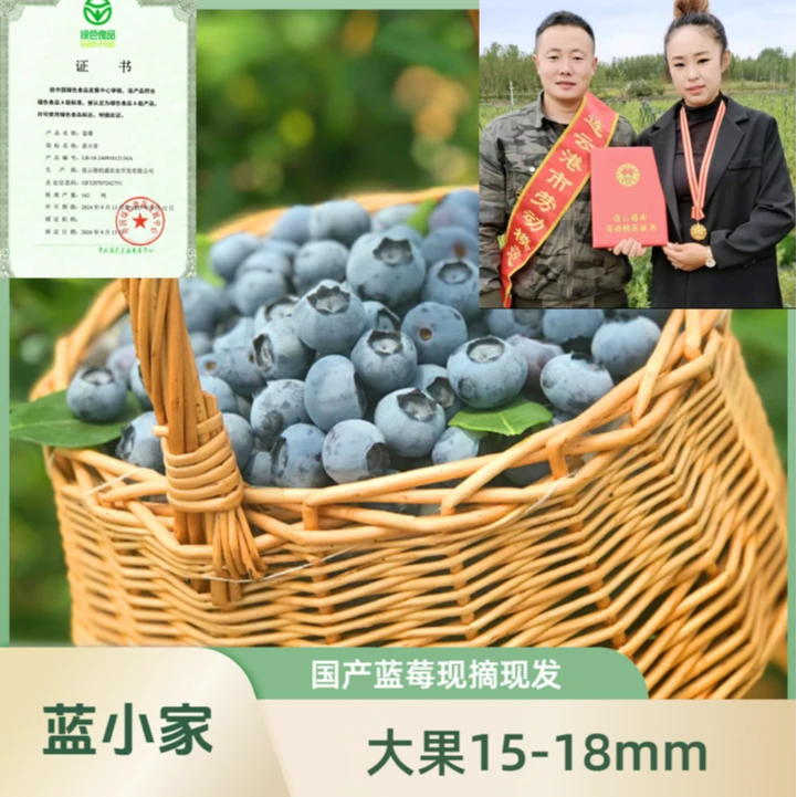 蓝小家I【大果15+mm】连云港国产蓝莓新鲜脆甜孕妇宝宝放心吃【顺丰】