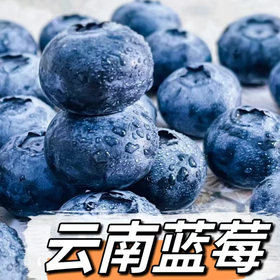【送4盒】云南花香蓝莓 高原露天种植水果 京东顺丰空运 S