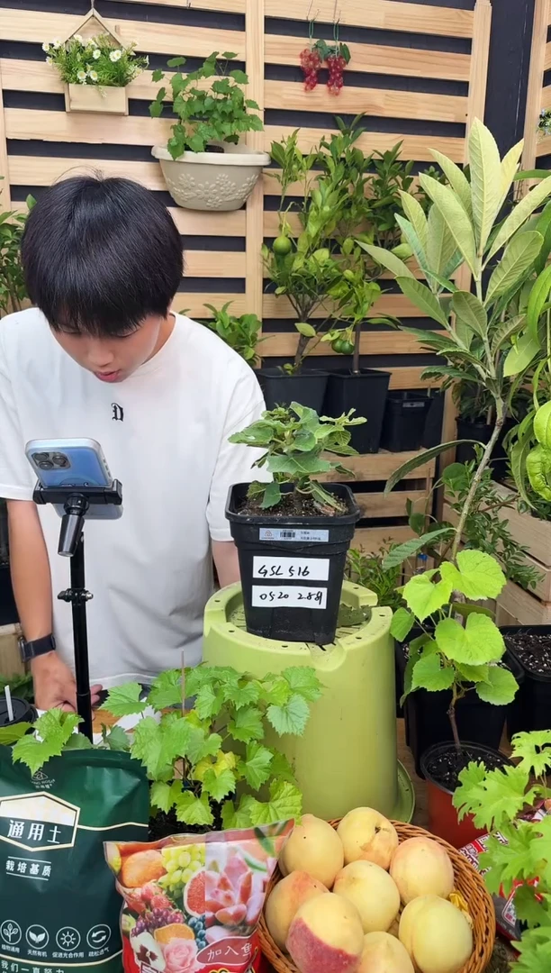 心**兮一物一拍 久留米 2.8L GSL516