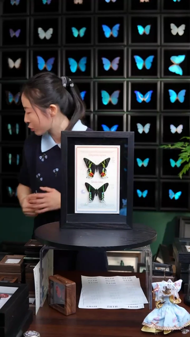 太阳蛾+月亮蛾设计款A4黑框