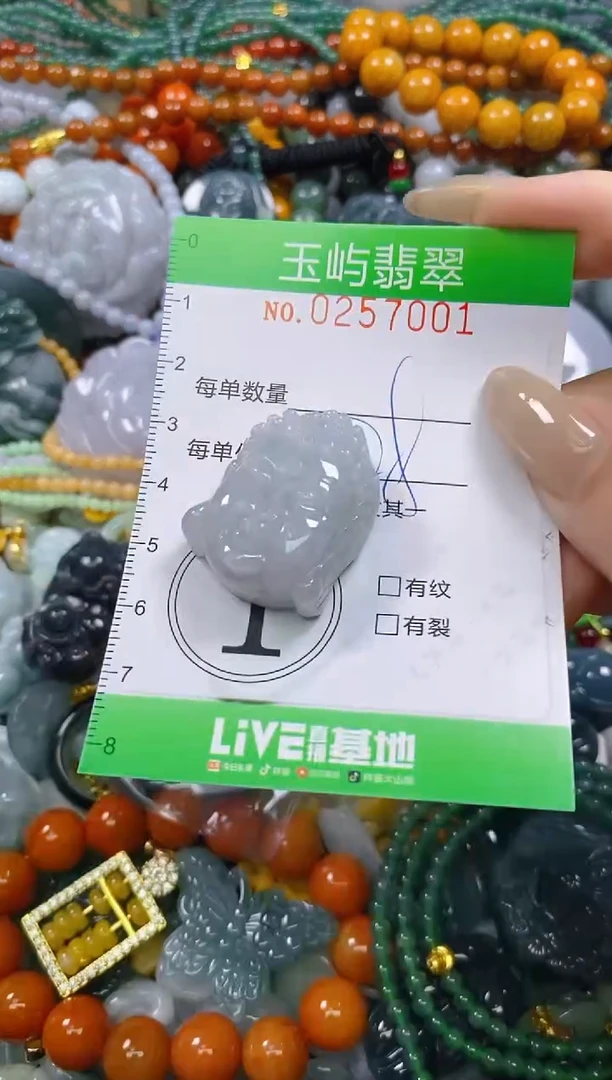 颈饰未镶嵌翡翠闪购0257001