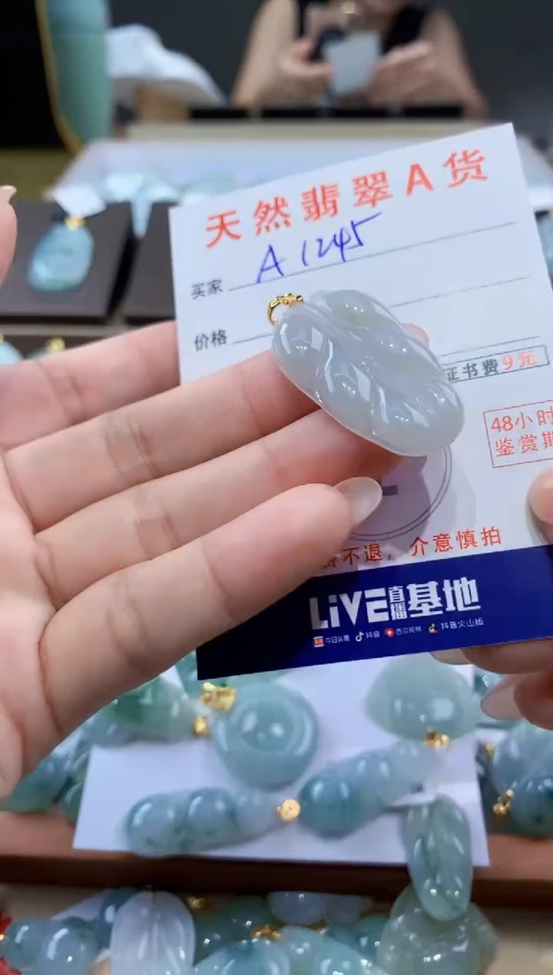 颈饰未镶嵌翡翠天然翡翠A货挂件