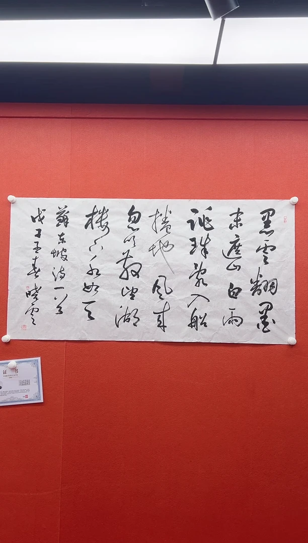 书法复星书画精选作品