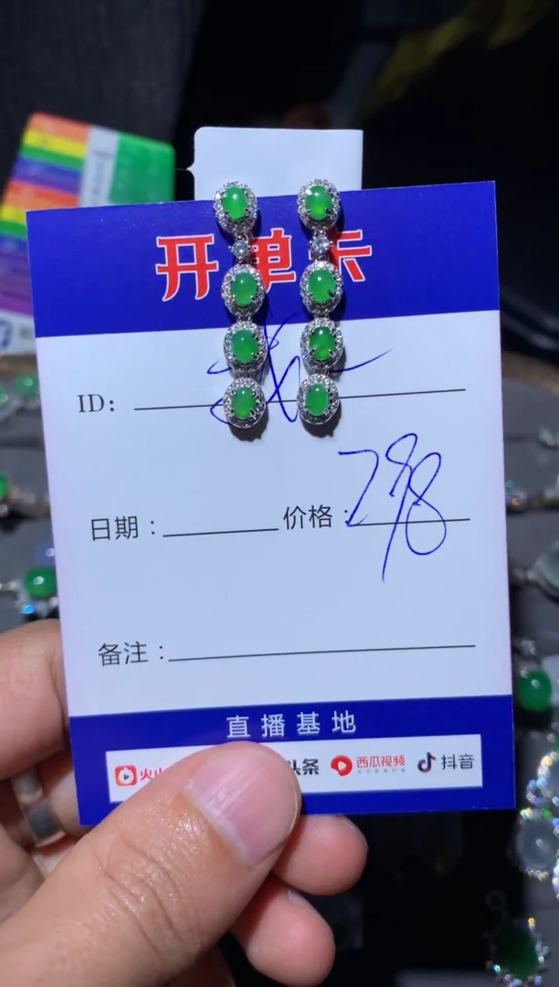 【闪购商品】翡翠耳饰银S925镶嵌向 我不想去上学