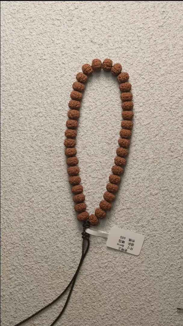 金刚菩提吊坠老树王品种8尺寸20号