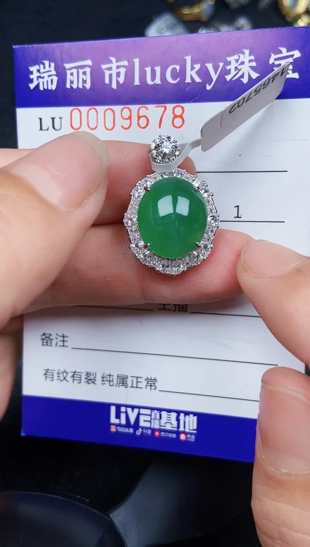 翡翠银S925镶嵌颈饰9678