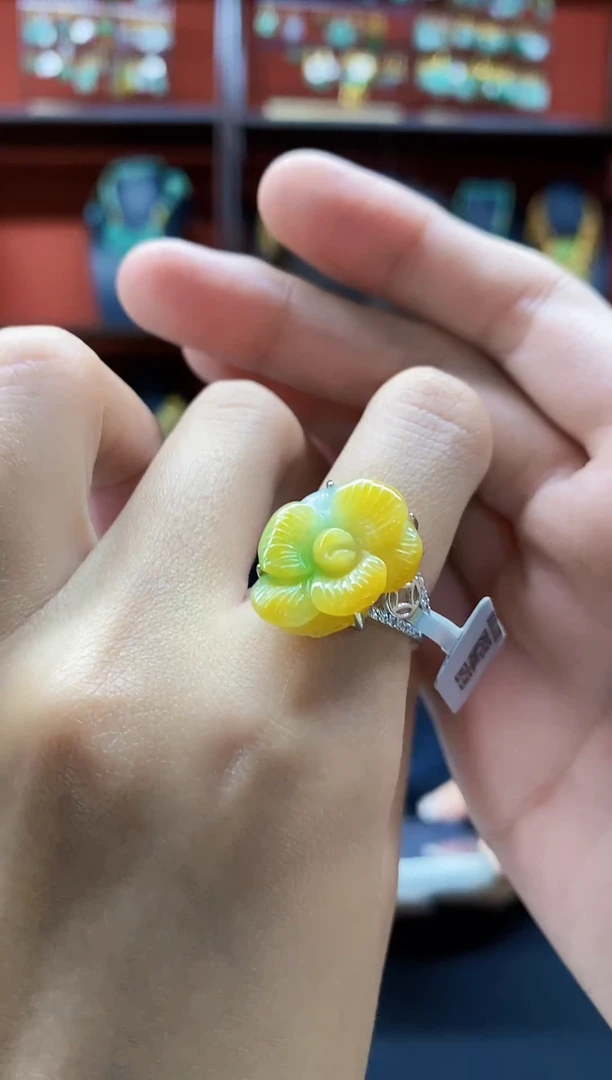 颈饰未镶嵌翡翠戒指