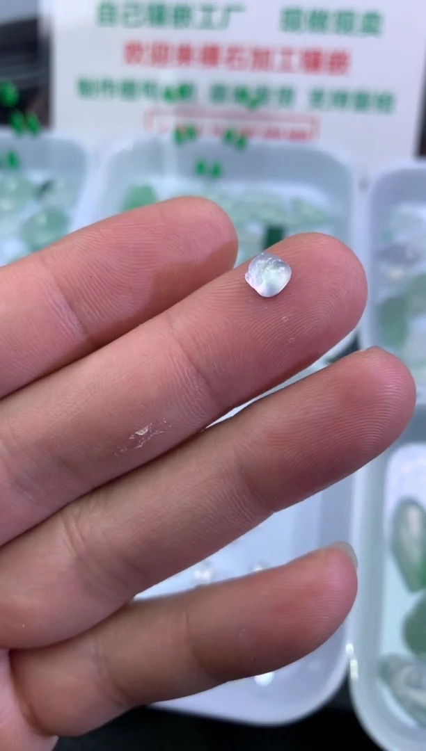 【闪购商品】翡翠颈饰未镶嵌金蝉