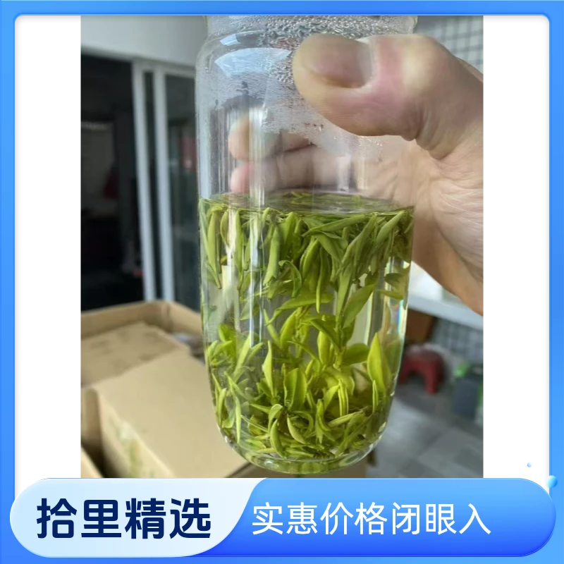 A4  拾里2025新茶A46明前米芽级汤池小兰花2025新茶