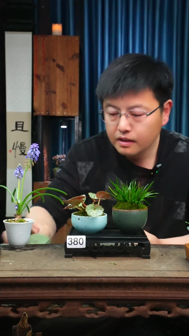 【闪购商品】苔藓微景观380号