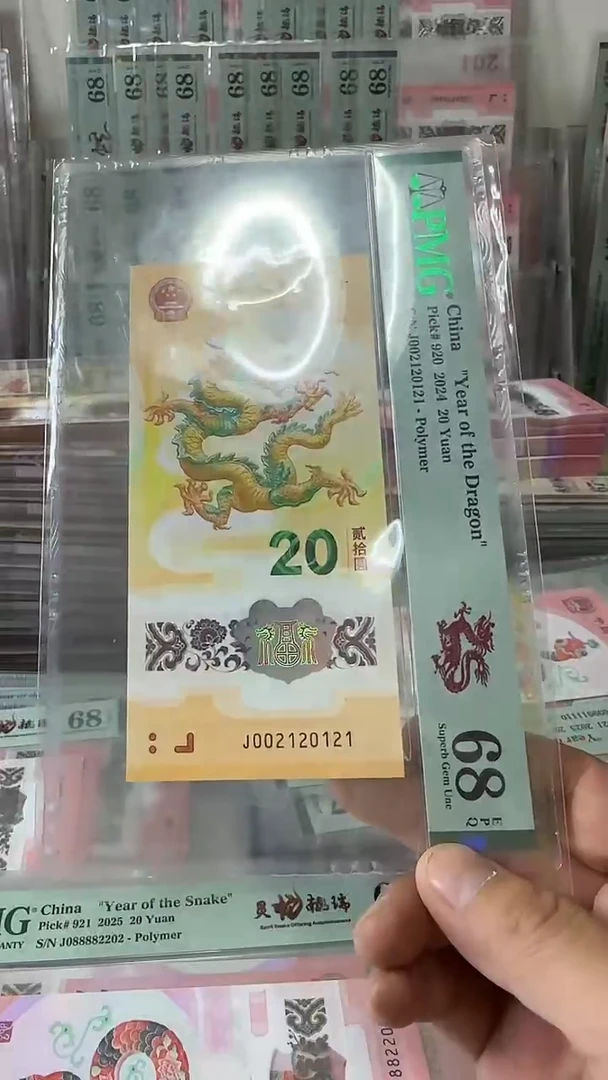 塑料002120121-龙钞单张