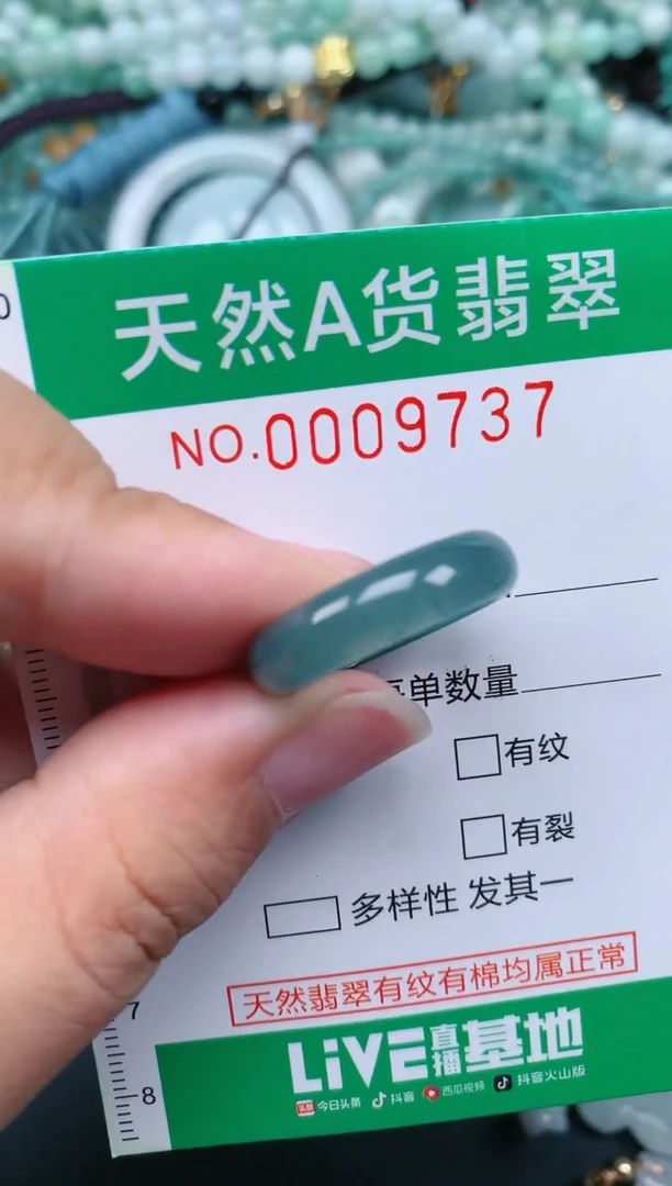 翡翠未镶嵌颈饰.0009737